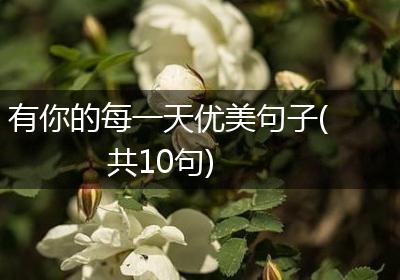 有你的每一天优美句子(共10句)