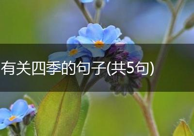 有关四季的句子(共5句)