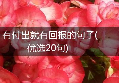 有付出就有回报的句子(优选20句)