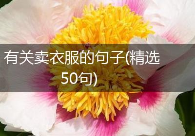 有关卖衣服的句子(精选50句)