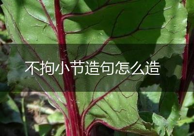 不拘小节造句怎么造