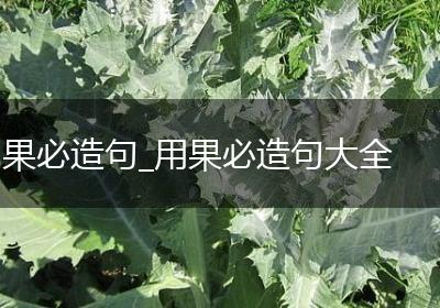 果必造句_用果必造句大全