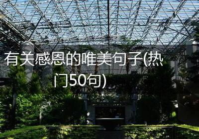有关感恩的唯美句子(热门50句)