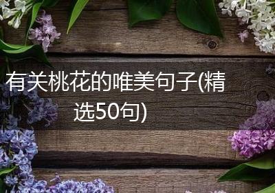 有关桃花的唯美句子(精选50句)