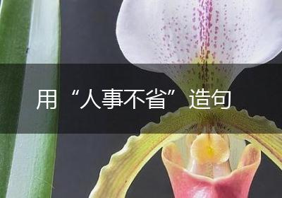 用“人事不省”造句