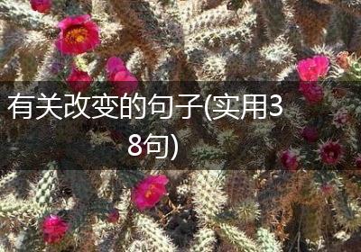 有关改变的句子(实用38句)