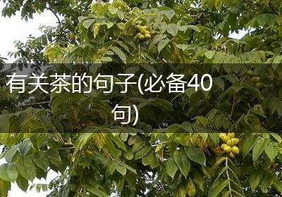 有关茶的句子(必备40句)