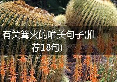 有关篝火的唯美句子(推荐18句)