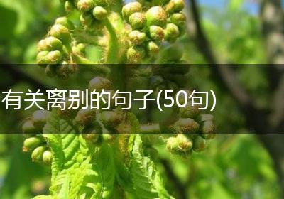 有关离别的句子(50句)