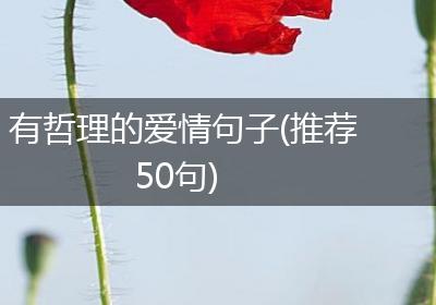 有哲理的爱情句子(推荐50句)