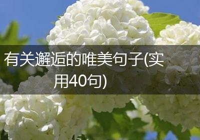 有关邂逅的唯美句子(实用40句)