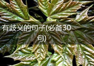 有歧义的句子(必备30句)