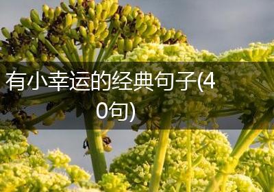 有小幸运的经典句子(40句)