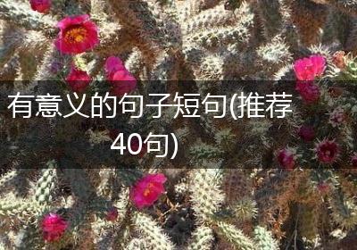 有意义的句子短句(推荐40句)