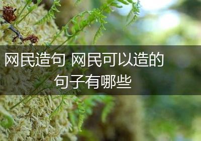 网民造句 网民可以造的句子有哪些