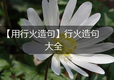 【用行火造句】行火造句大全