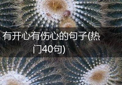 有开心有伤心的句子(热门40句)