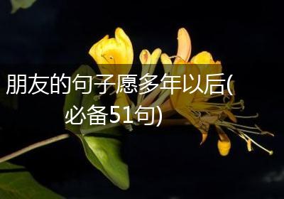 朋友的句子愿多年以后(必备51句)