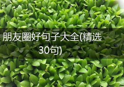 朋友圈好句子大全(精选30句)
