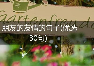 朋友的友情的句子(优选30句)
