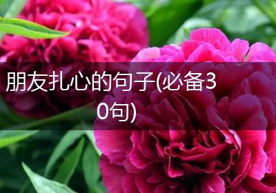 朋友扎心的句子(必备30句)