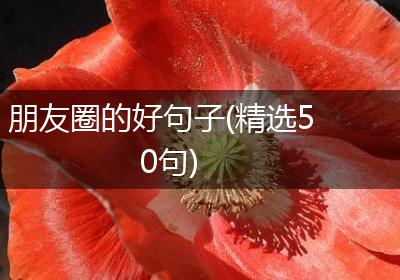 朋友圈的好句子(精选50句)