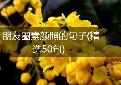 朋友圈素颜照的句子(精选50句)