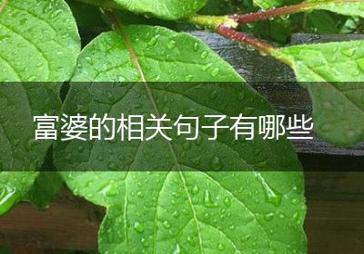 富婆的相关句子有哪些