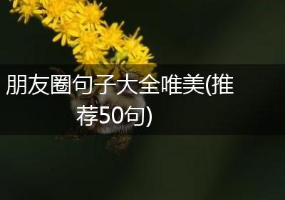 朋友圈句子大全唯美(推荐50句)
