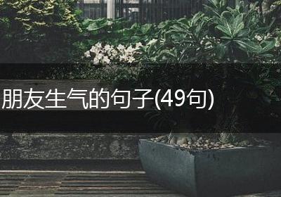 朋友生气的句子(49句)