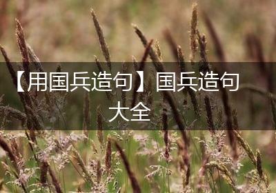 【用国兵造句】国兵造句大全