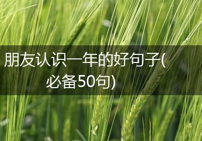 朋友认识一年的好句子(必备50句)