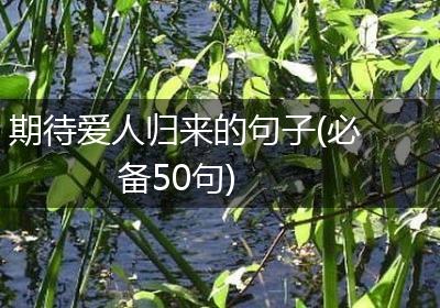 期待爱人归来的句子(必备50句)