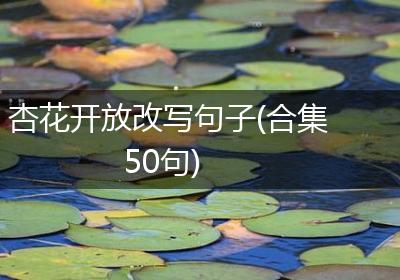 杏花开放改写句子(合集50句)