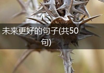 未来更好的句子(共50句)