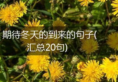 期待冬天的到来的句子(汇总20句)
