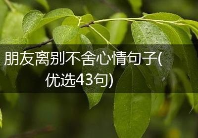 朋友离别不舍心情句子(优选43句)