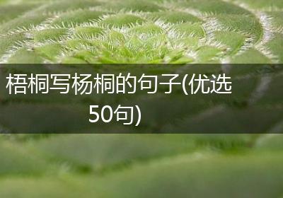 梧桐写杨桐的句子(优选50句)