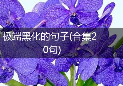 极端黑化的句子(合集20句)