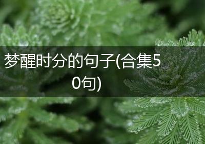 梦醒时分的句子(合集50句)