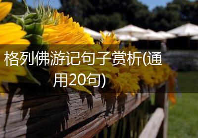 格列佛游记句子赏析(通用20句)