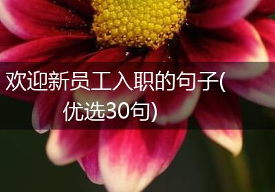 欢迎新员工入职的句子(优选30句)