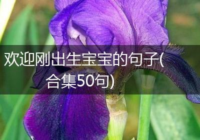 欢迎刚出生宝宝的句子(合集50句)