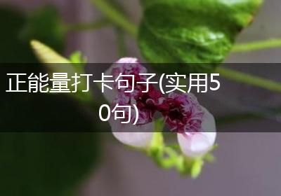 正能量打卡句子(实用50句)