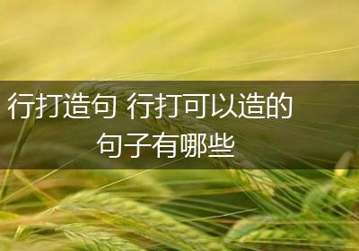 行打造句 行打可以造的句子有哪些