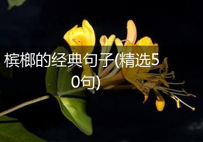 槟榔的经典句子(精选50句)