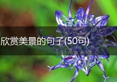 欣赏美景的句子(50句)