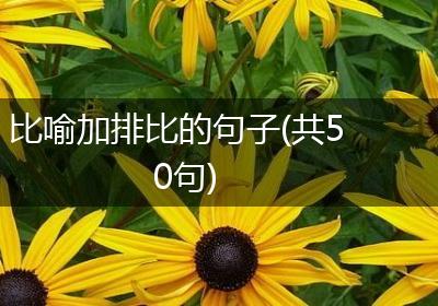 比喻加排比的句子(共50句)