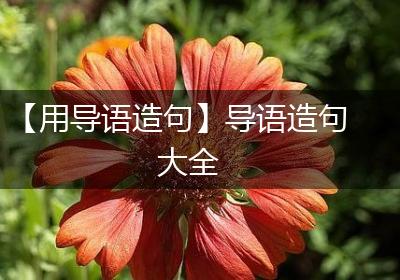 【用导语造句】导语造句大全