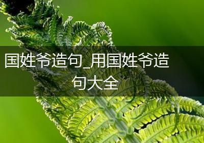 国姓爷造句_用国姓爷造句大全